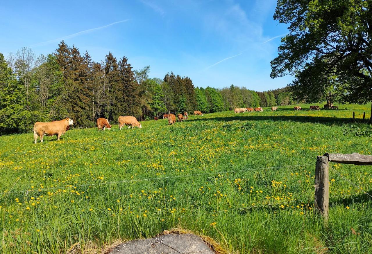Zdomek Teplice nad Metují Exterior foto